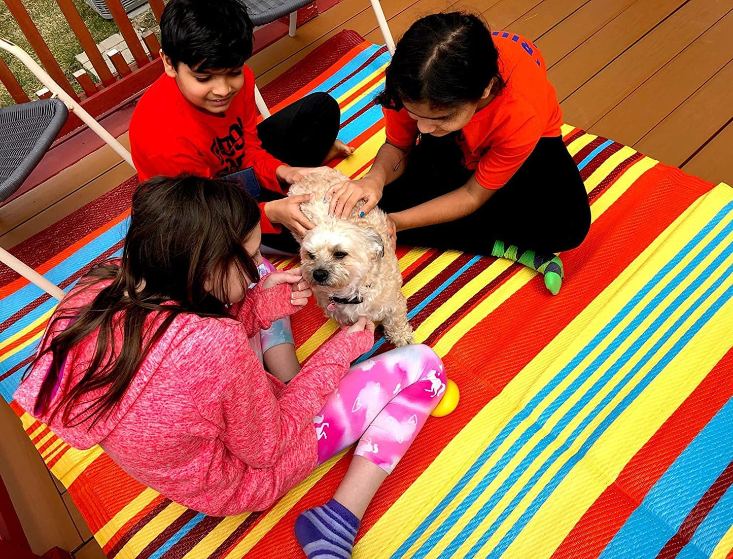 BOSS CLASS - *INCLUDES PROCESSING FEES* BOSS JULIE